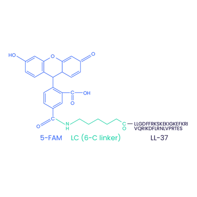 5-FAM-LL-37（加扰）CAS 2022972-73-0